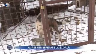 Agresiuni repetate la școală