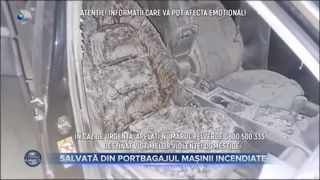 Salvată din portbagajul mașinii incendiate