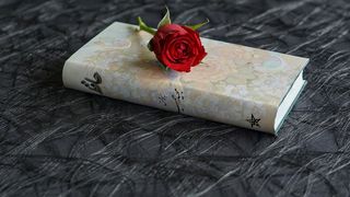 Cele mai frumoase poezii de dragoste. Cum au surprins poeții români iubirea în versuri