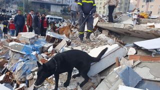 FOTO/VIDEO - Imagini impresionante din timpul misiunii de salvare-căutare a echipei de sprijin din România, pentru recuperarea persoanelor prinse sub dărâmături în Turcia