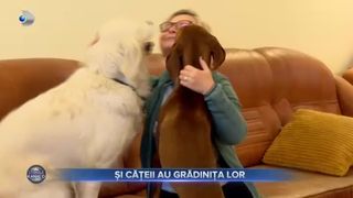 Și cățeii au grădinița lor