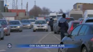 Cod galben de urgie albă
