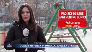 Bunicii ar putea primi salariu de la stat