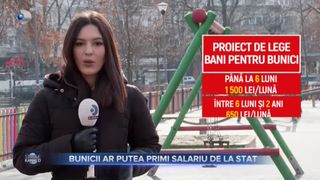Bunicii ar putea primi salariu de la stat