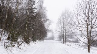 VIDEO- Ger de crapă pietrele - Am trecut prin cea mai geroasă noapte din acest an