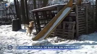 Românii, a doua misiune în Turcia