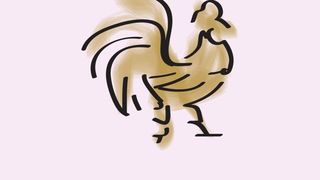 Horoscop chinezesc 2023 Cocoș. Trebuie să aibă grijă la capitolul financiar!