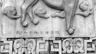 Horoscop chinezesc 2023 Câine. Un an plin de  provocări