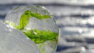 Cum va fi vremea în weekend? Prognoza meteo pentru perioada 10-12 februarie 2023