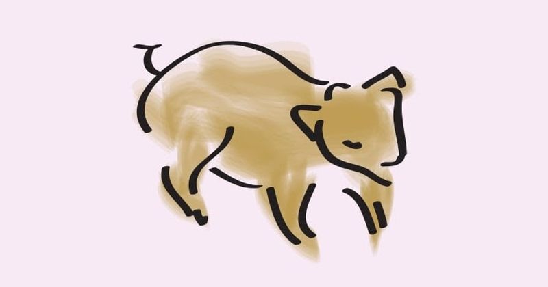 Horoscop chinezesc 2023 Mistreț.