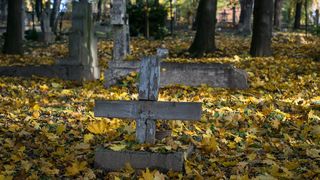 VIDEO- Un bărbat a furat mai multe cruci dintr-un cimitir din Olt. De ce a recurs la acest gest