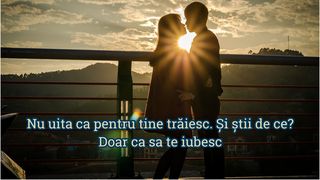 Felicitări de Valentine's Day 2023