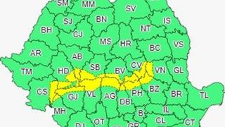 cood galben ninsori și viscol