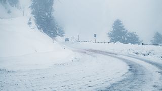 cood galben ninsori și viscol