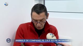 Animale de companie pe cale să fie interzise