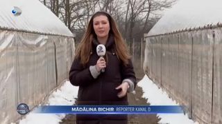 Gerul scumpește trufandalele