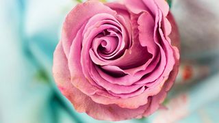 Ziua Îndrăgostiților 2023: Cum arată cadoul ideal?