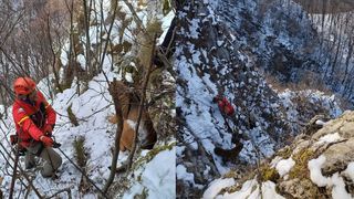 Salvamontiştii încearcă, de peste o oră şi jumătate, să salveze un Cane Corso din abruptul Cheilor Mănăstirii din Rameţ