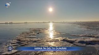 Iarna &icirc;n Delta Dunării