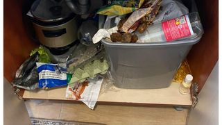 FOTO - Două chiriașe au lăsat o cocină de porci &icirc;n apartamentul din Ilfov unde au locuit. Proprietarii sunt șocați de ceea ce au descoperit