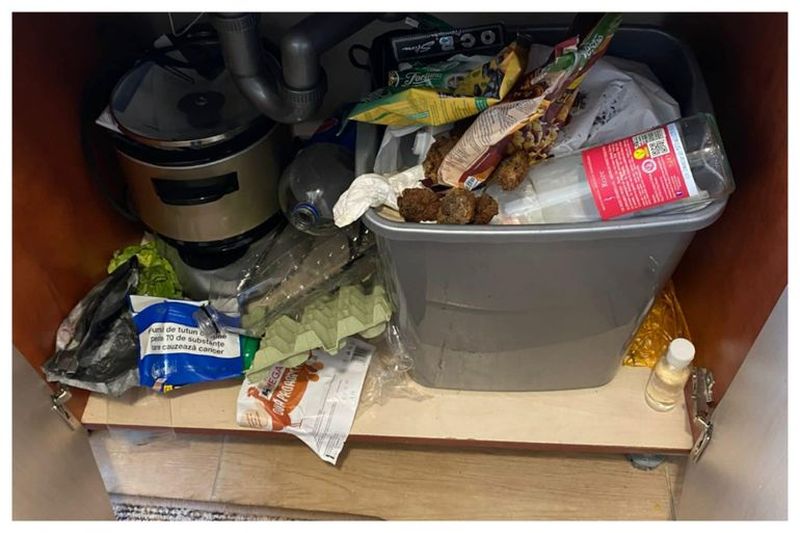 FOTO - Două chiriașe au lăsat o cocină de porci în apartamentul din Ilfov unde au locuit. Proprietarii sunt șocați de ceea ce au descoperit