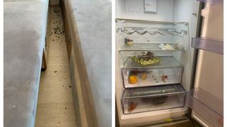 FOTO - Două chiriașe au lăsat o cocină de porci în apartamentul din Ilfov unde au locuit. Proprietarii sunt șocați de ceea ce au descoperit