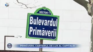Primăverii, cartierul de lux al Capitalei