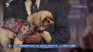 Prezentare de modă inedită, la New York