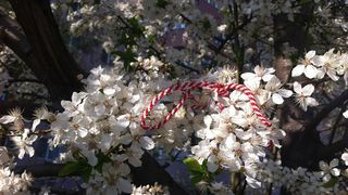 Prima zi de primăvară din 2023. 