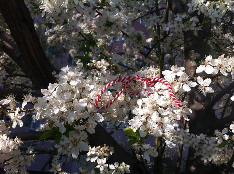 Prima zi de primăvară din 2023. 