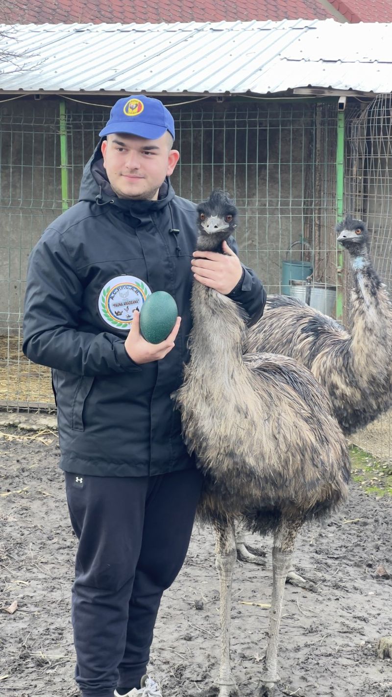 Incredibil! Cum a ajuns un tânăr din Arad să vândă un ou cu 150 de lei