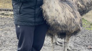 Incredibil! Cum a ajuns un t&acirc;năr din Arad să v&acirc;ndă un ou cu 150 de lei