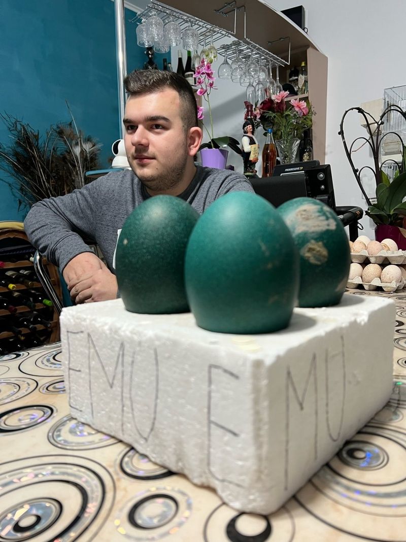 Incredibil! Cum a ajuns un tânăr din Arad să vândă un ou cu 150 de lei