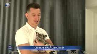 Cei mai jucăuși căței