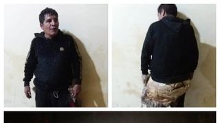 Un deținut a încercat să evadeze deghizat într-un miel. Bărbatul a fost arestat pentru crimă