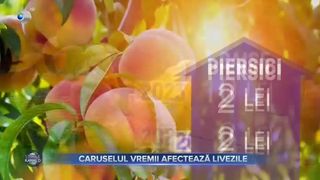 Caruselul vremii afectează livezile