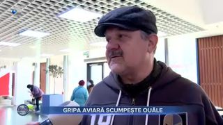Gripa aviară scumpește ouăle