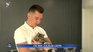 Cei mai jucăuși căței