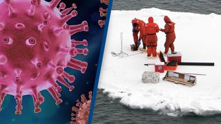 Un virus descoperit în Danemarca poate ucide bacteriile rezistente la antibiotice