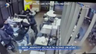 Micii &rdquo;mafioți&rdquo; au pus &icirc;n scenă un atac