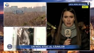 Un nou atac al c&acirc;inilor