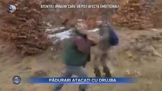 Pădurari atacați cu drujba