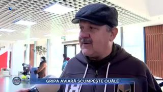 Gripa aviară scumpește ouăle