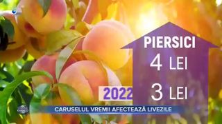 Caruselul vremii afectează livezile