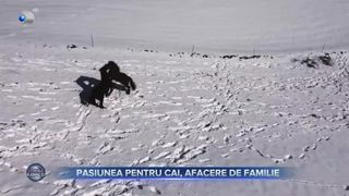 O viață &icirc;ntreagă &icirc;ntr-o jumătate de casă
