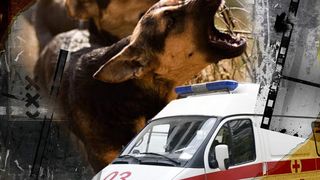 VIDEO- Copil de 10 ani, atacat de o haită de câini în Botoșani. Micuțul a ajuns la spital cu răni grave