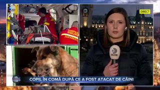 Copil în comă după ce a fost atacat de câini