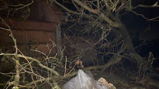 Vijelie puternică seara trecută. Un acoperiș a fost smuls, mai multe geamuri au fost sparte, iar traficul rutier a fost afectat