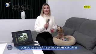Job-ul de vis - să te uiți la filme cu căței