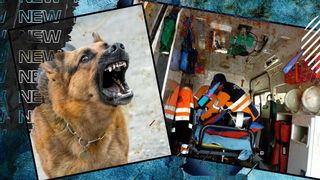 VIDEO- Dezvăluiri cutremurătoare făcute de mama copilului, de zece ani, mușcat de câini: „S-a speriat, săracul. Lătrau câinii... L-au târât”